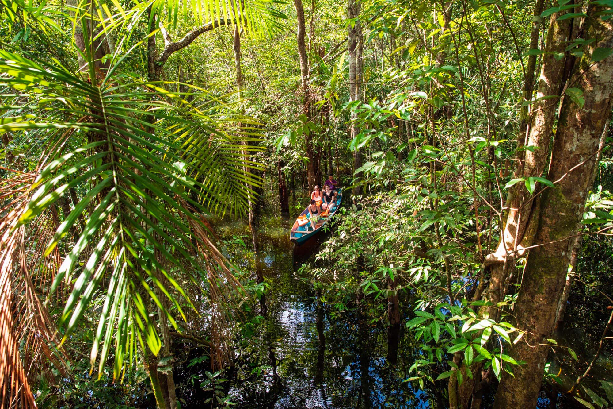 sur les eaux du Rio Negro