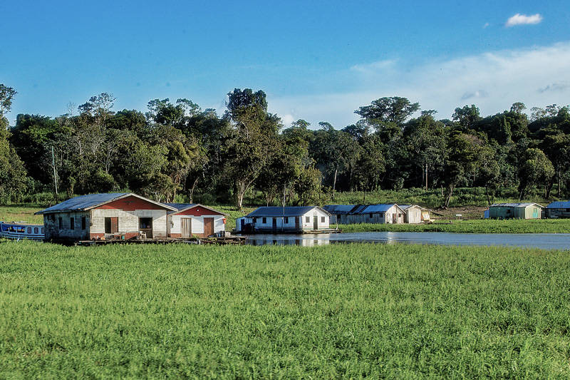 les habitations qui longent les rives du fleuve en amazonie