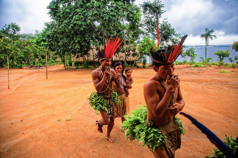 représentation de danses indiennes d'amazonie