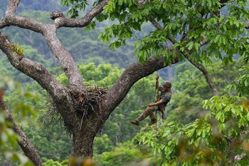 Olivier de l'agence heliconia le voyage en amazonie