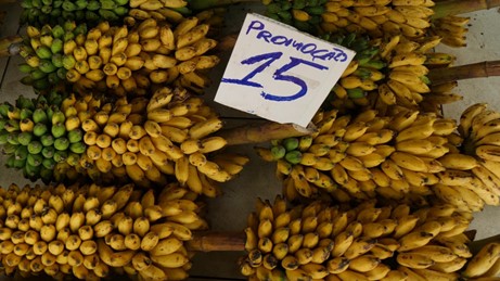 Bananes au marché municipal de Manaus