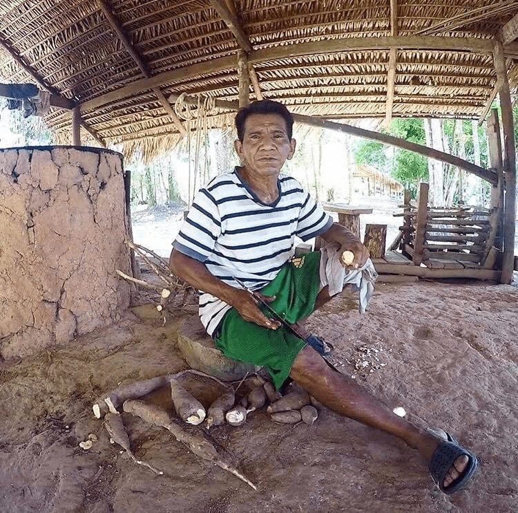 Un homme caboclo d’Amazonie, vêtu d’un t-shirt rayé, épluchant des racines de manioc