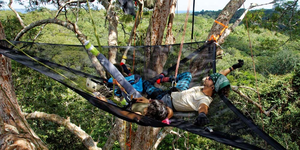 Trois personnes se reposent dans un hamac triangulaire suspendu entre les branches d’un grand arbre, haut dans la canopée.