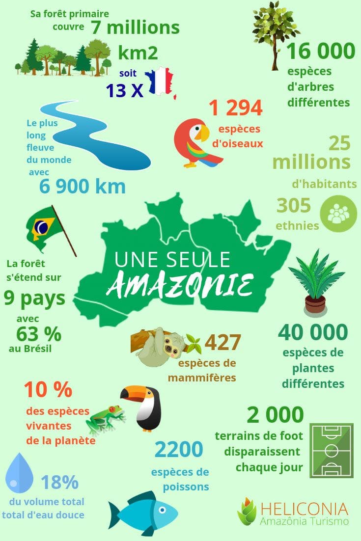 Infographie colorée intitulée « Une seule Amazonie » réalisée par Heliconia Amazônia Turismo.