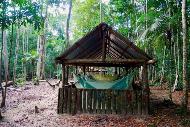 Petit abri en bois couvert d’un toit en tôle, construit au cœur de la forêt amazonienne. À l’intérieur, plusieurs hamacs protégés par des moustiquaires sont suspendus, prêts à accueillir les voyageurs pour une nuit en pleine jungle.
