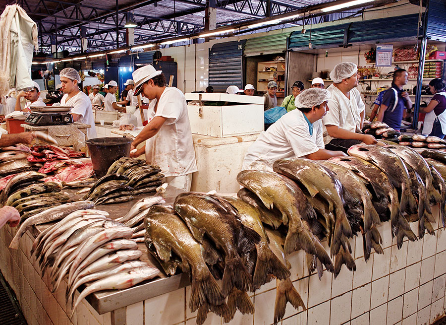 Etals de poissons au marché municipal de Manaus