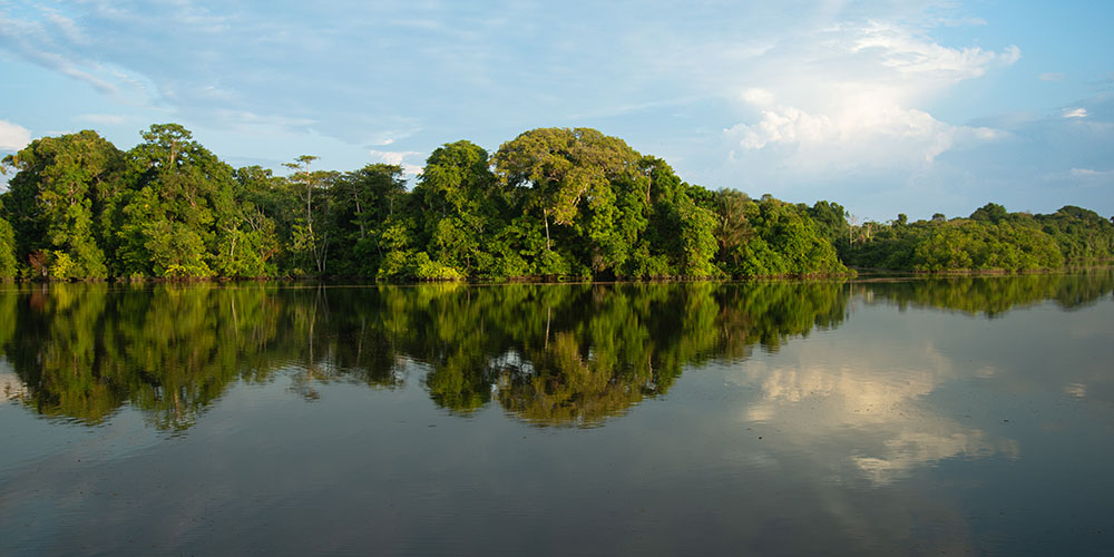Vue paisible d’une forêt amazonienne se reflétant parfaitement sur l’eau calme d’un fleuve ou d’un lac.