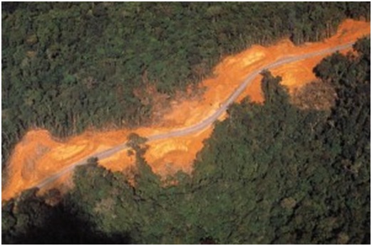Vue aérienne d’une route traversant la forêt amazonienne, avec des zones de déforestation linéaire bien visibles