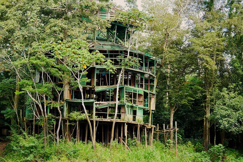 Ancienne structure en bois délabrée, autrefois une tour du complexe Ariaú Amazon Towers, aujourd’hui partiellement effondrée et envahie par la végétation tropicale.
