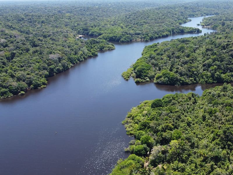 Vue aérienne d’un fleuve sinueux traversant la forêt amazonienne
