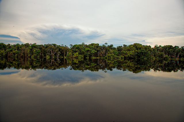 les eaux miroirs du rio negro