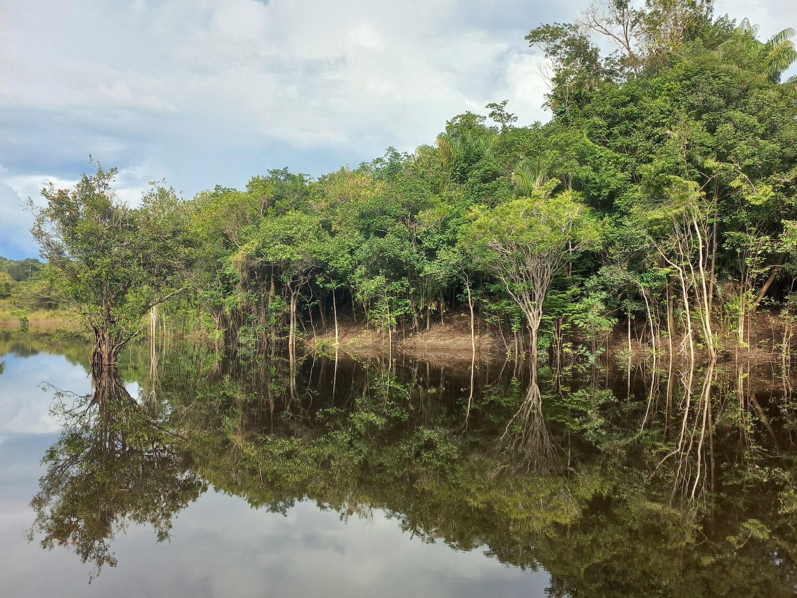 reflets-rio-amazonie