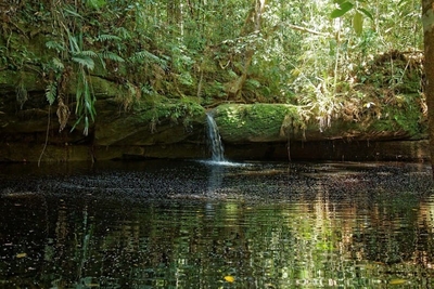 Une excursion à Manaus, porte de l’Amazonie