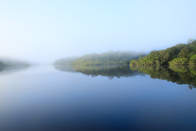 Une belle expérience en Amazonie