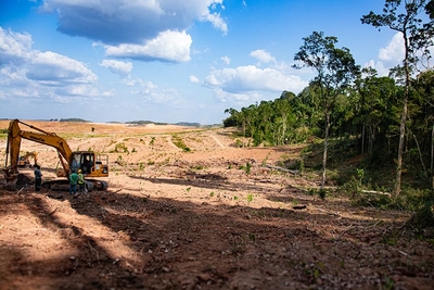 La déforestation : le fléau de la forêt amazonienne