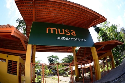 Le Musa : le musée incontournable de Manaus