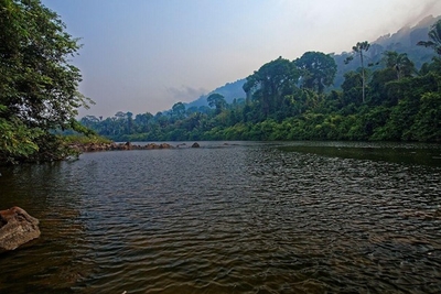 Les incroyables phénomènes naturels d’Amazonie