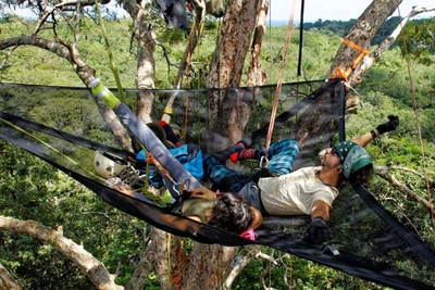 Tree climbing en Amazonie : Heliconia présente sa nouveauté