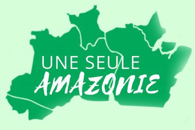 Voyage au coeur de la forêt amazonienne : le poumon vert de la planète
