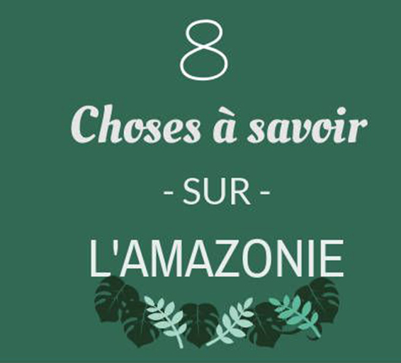 Visuel informatif sur fond vert foncé affichant le texte : “8 choses à savoir sur l’Amazonie”.
