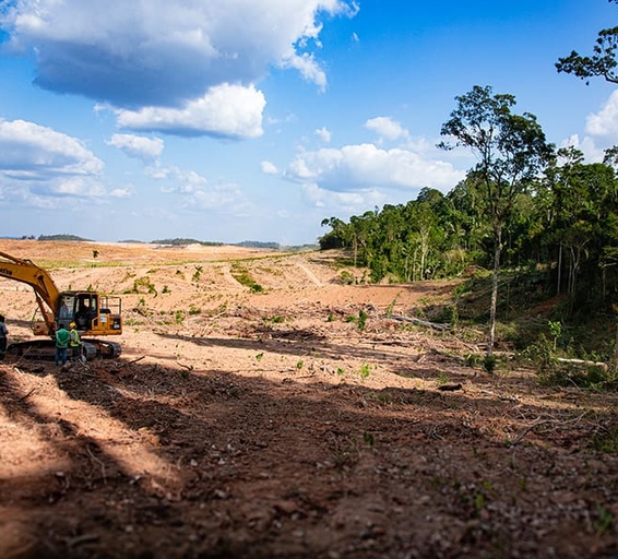 Une zone déboisée en bordure de la forêt tropicale, avec une excavatrice