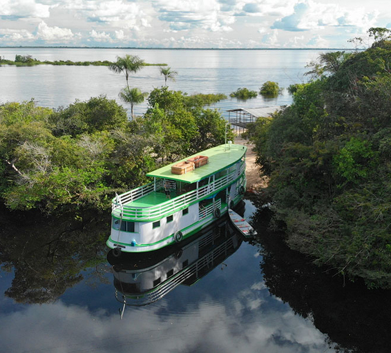 Vue sur un bâteau régional vert et blanc sur un fleuve d’amazonie entouré de la flore