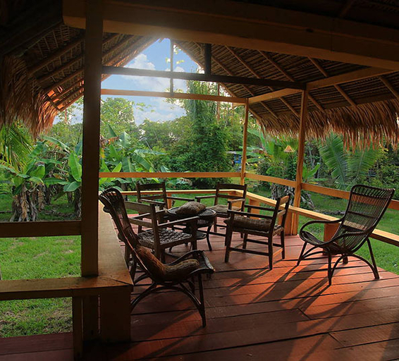 Terrasse en bois avec fauteuils sous un toit de palmes, entourée de végétation tropicale.