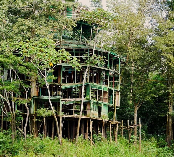 Ancienne structure en bois délabrée, autrefois une tour du complexe Ariaú Amazon Towers, aujourd’hui partiellement effondrée et envahie par la végétation tropicale.