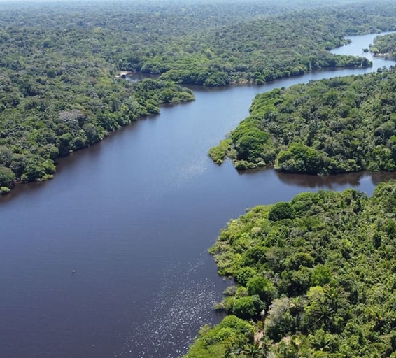 Conseils pour bien préparer son voyage en Amazonie (Partie 2)