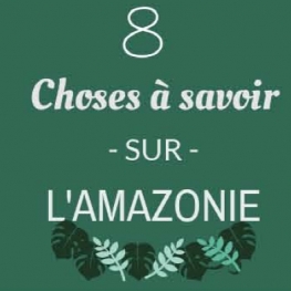 8 choses à savoir sur l’Amazonie