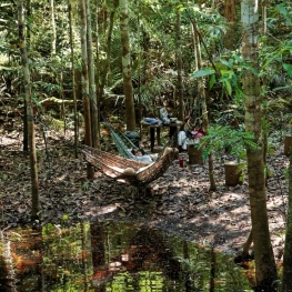 Une belle expérience en Amazonie