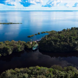 voyage en amazonie