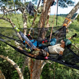 Tree climbing en Amazonie