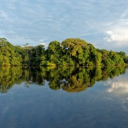 Parc national du Jau