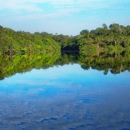 vue du rio negro en Amazonie