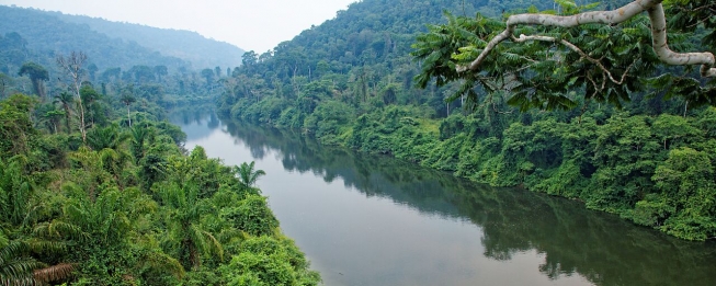 Point de vue de sur la forêt amazonienne, eaux miroirs 