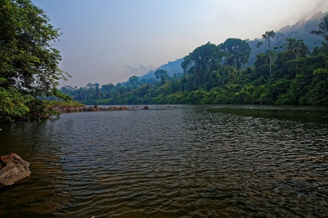 foret amazonienne accessible à tous