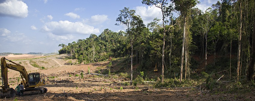 le fléau de la forêt amazonienne