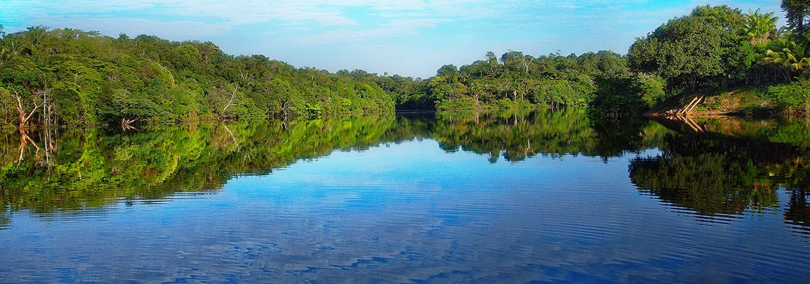 vue du rio negro en Amazonie