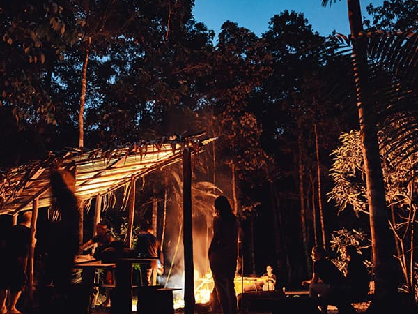 Nuit dans la jungle ★★★