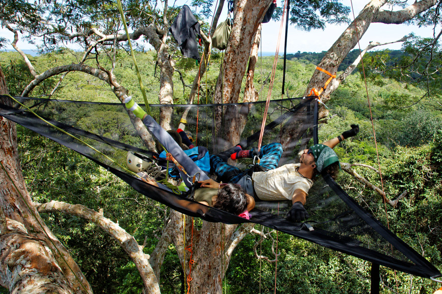 Tree climbing en Amazonie